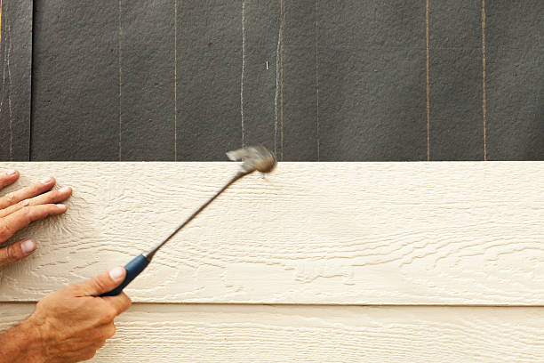 Affordable Siding Repair and Maintenance Services in Riverside, ID